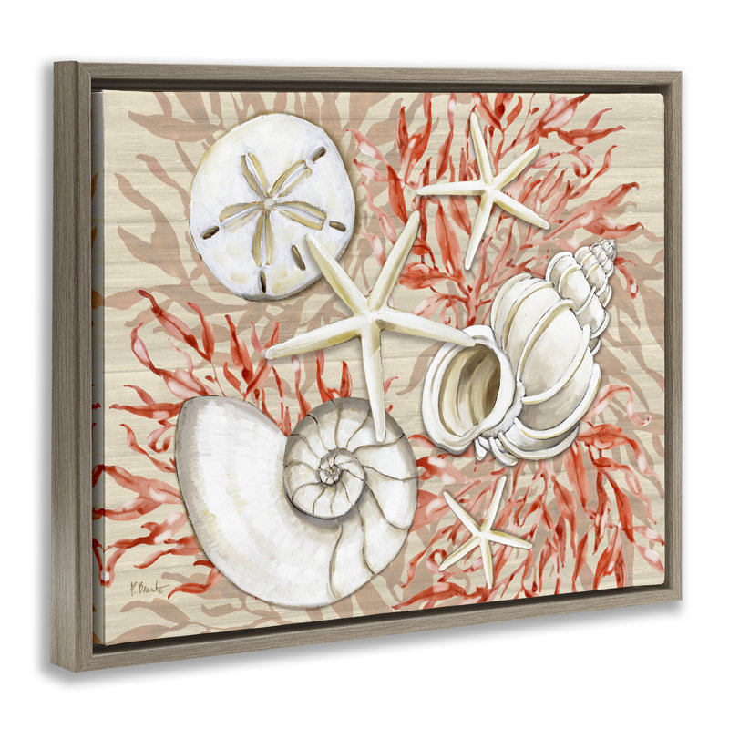 Cadre flottant Coral White Shells, design par Paul Brent, Cadre flottant orme Montalcino, H 25 po x l 31 po