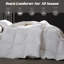 Premium All Season Bed Comforter - Fluffy Breathable & Warmth Feather Down KingSize Duvet Insert-1443491957
