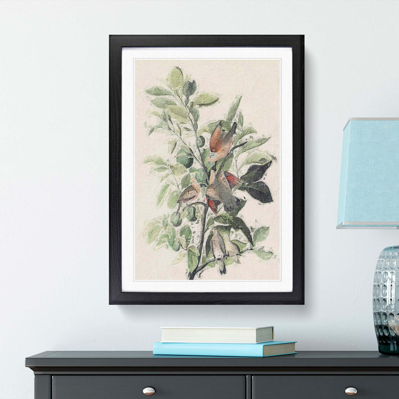 Ground Doves by John Audubon - Picture Frame Painting Print, Black Framed, 48cm H x 36cm W x 2cm D