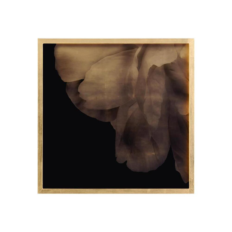 Mark Mcdowell's Shi Hana