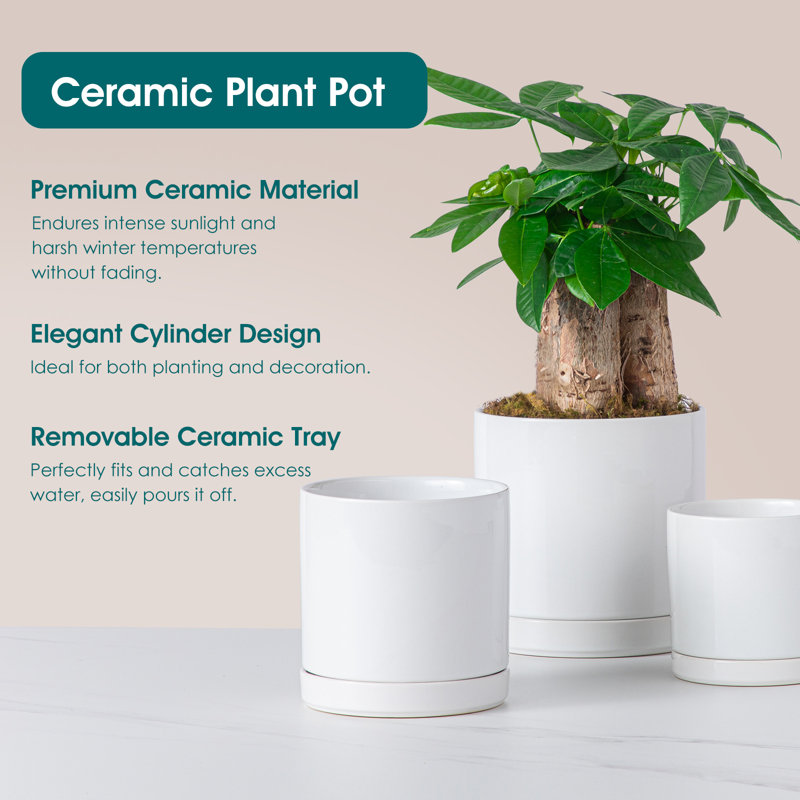 FLHPOT Ceramic Pot Planter, White