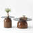 Walnut est en rupture de stock