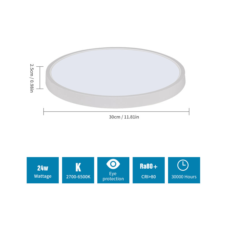 Cherece Acrylic LED Flush Mount