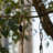 PLAYBERG Plastic Swing Set Rope Ladder-69272853