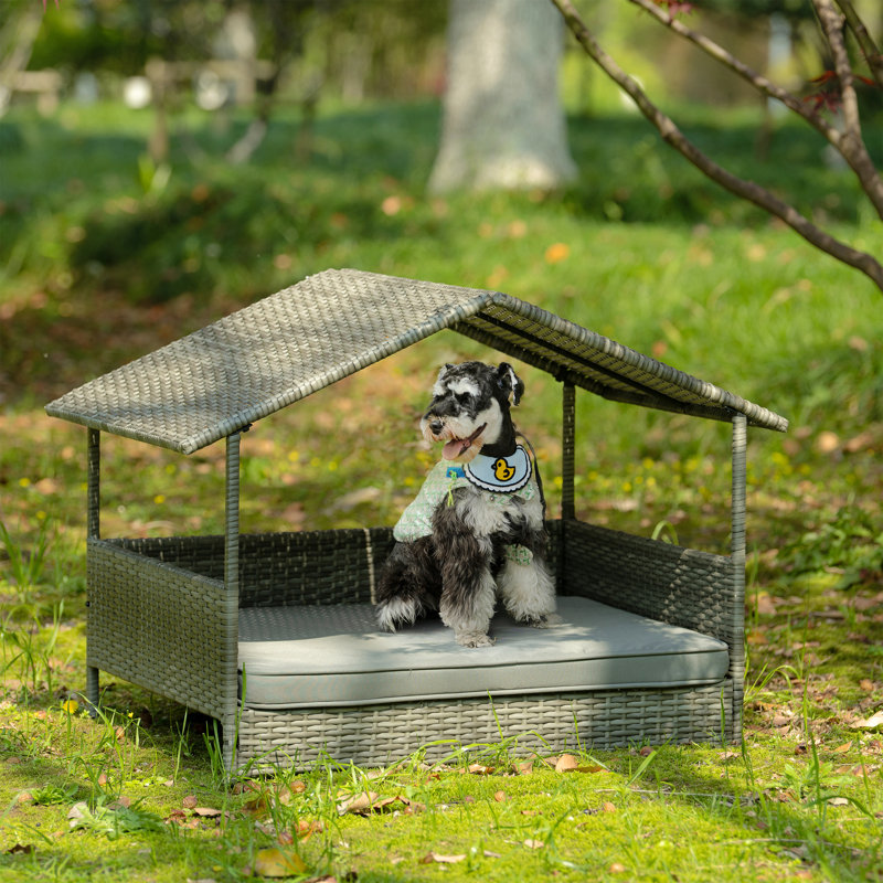 Canapé pour chien avec auvent Delsy, H 28,75 po x l 33,5 po x P 27,25 po, Gris foncé