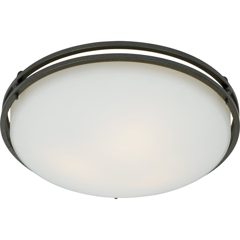 Plafonnier encastré 2 lumières Saurav, 6,5 po, Barrière de fer