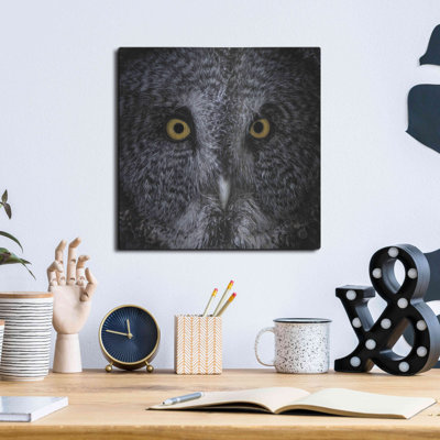 «Great Grey Owl» par Nathan Larson - reproduction de dessin non encadrée