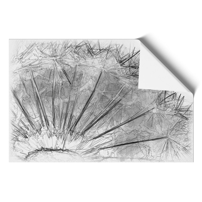 Dandelion Seeds Sketch - Frameless Print, 30cm H x 42cm W x 0.1cm D