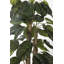 Jardinière artificielle 80,3 po Ivy Devil's Ivy In A Tall