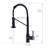 Fapully Pull Out Kitchen Faucet-61706871