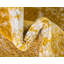 Tapis jaune moutarde Rizo Pat-1519308330