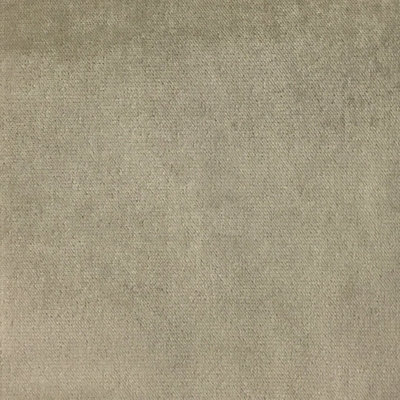 Velours de satin de coton Belvedere-Byron