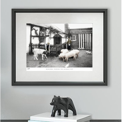 Runcorn, Feeding The Animals 1929 - Single Picture Frame Print