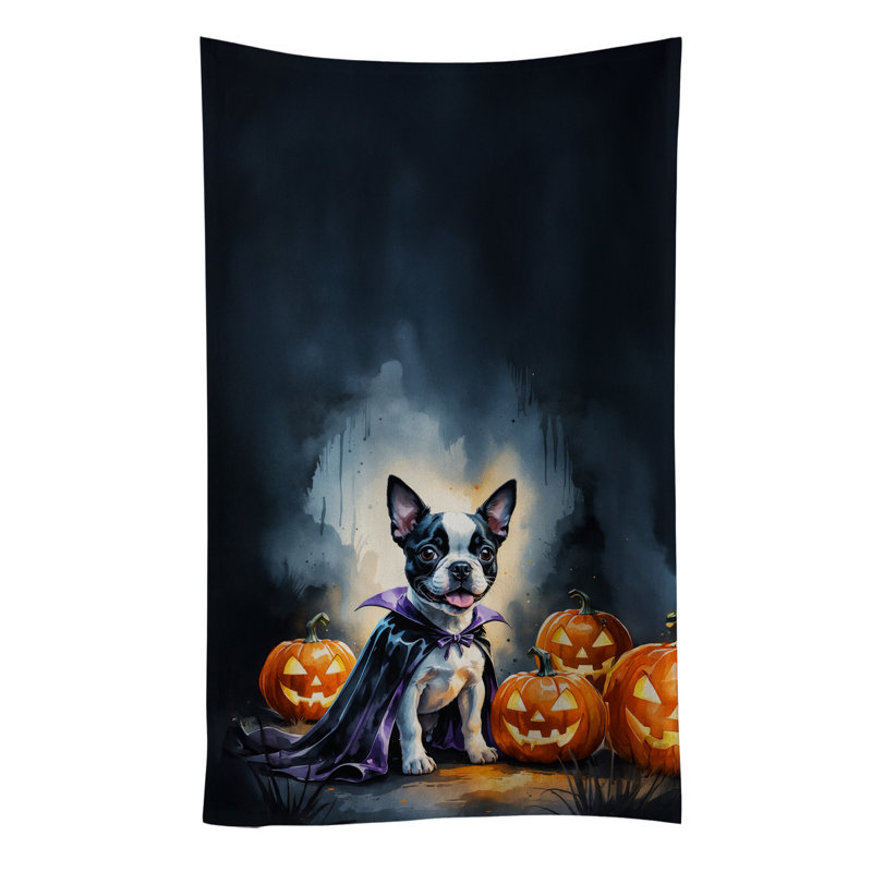 Torchon Boston Terrier, Boston-terrier