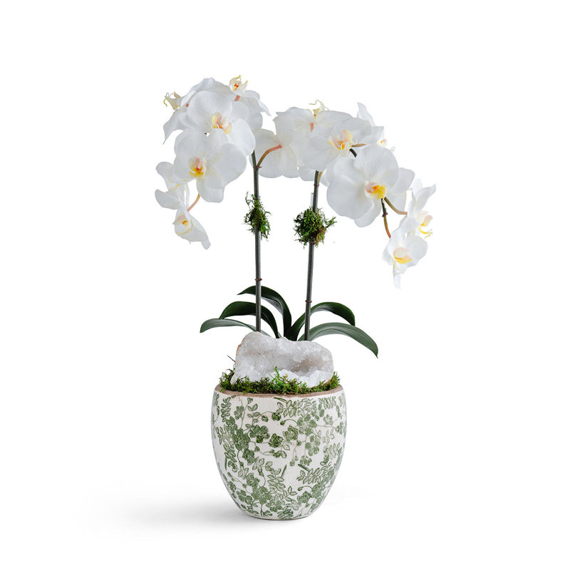 Double Orchid vase, White, White
