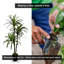 Yucca artificiel fait à la main avec bois véritable-1996128821
