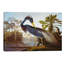 Louisiana Heron From "Birds Of America" by John Audubon - Painting on Canvas-2049723571-2049723573