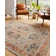 Avan Oriental Indoor Rug