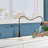 Topcraft Single handle Pull Down Kitchen Faucet-114570783