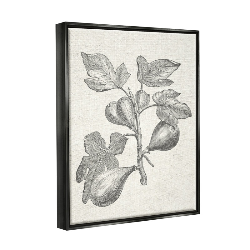 Rosalind Wheeler, Cadre flottant noir de jais, H 21 po x l 17 po x P 1,7 po