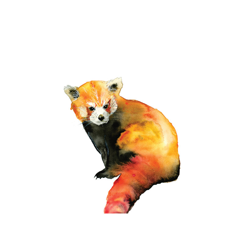 Art panda, Toile tendue, H 40 po x l 26 po x P 1,5 po
