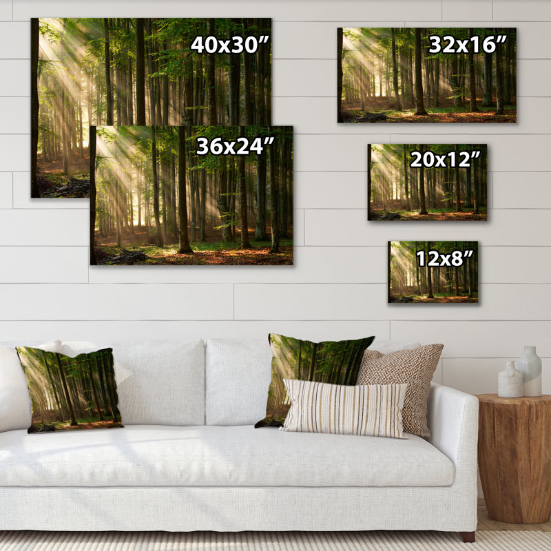 «Sunshine Through the Trees in the Woods», reproduction sur toile encadrée, H 8 po x l 12 po x P 1 po, Toile tendue