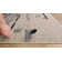 Soltis Abstract Indoor Rug