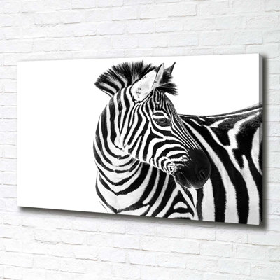 Zebra In The Snow - Wrapped Canvas Print