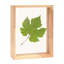Gye Wood Floater Picture Frame-279237154-279237156
