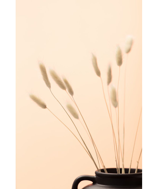 Bunny Grass 01, 50.8cm H x 76.2cm W