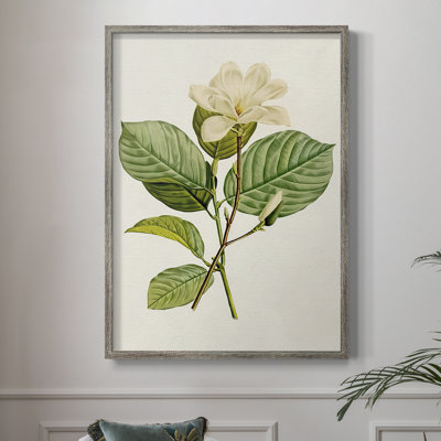 «MagnoliaFlowersI», reproduction encadrée - bois massif 2774249