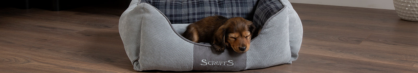 Scruffs