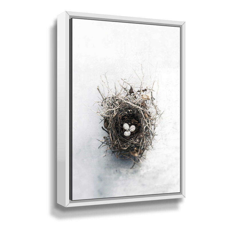 'Bird Nest' Framed Photographic Print on Wrapped Canvas, 12" H x 8" W x 2" D, White Floater Frame