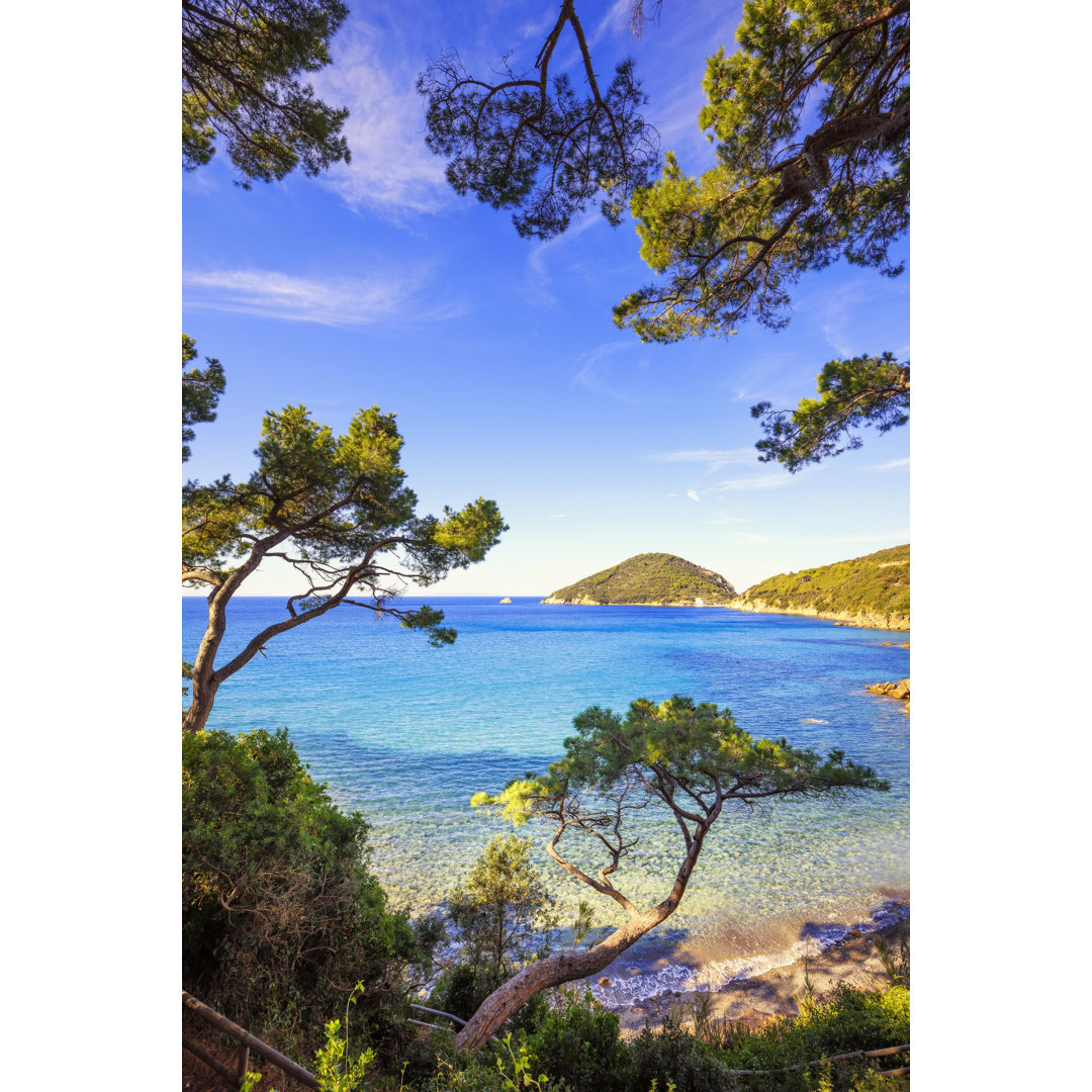Elba Island Sea by StevanZZ - Wrapped Canvas Print