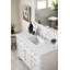 Brittany 48 in. Single Vanity-956011138-997727701-1042808275