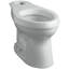 Toilet Bowl-71049146