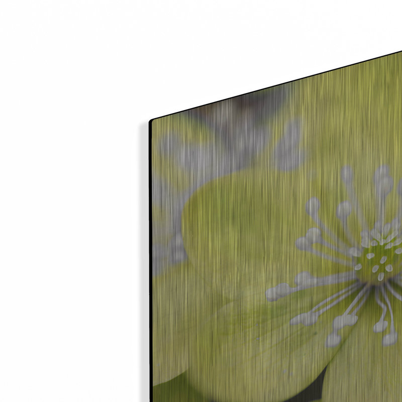 «Yellow Blossom» par Photoinc Studio, art mural en métal, 24 po x 24 po, H 12 po x l 12 po