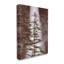Art mural sur toile Stupell Industries Waterfall par Dennis Frates-91306983