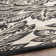 Clapperton Performance Floral Indoor/Outdoor Area Rug
