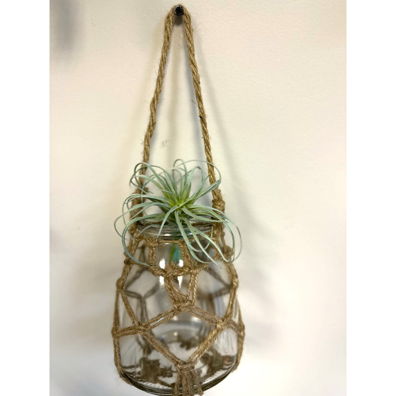 Glass Jar Candle Holders With Rope Netting, 6" H x 5" W x 5" D
