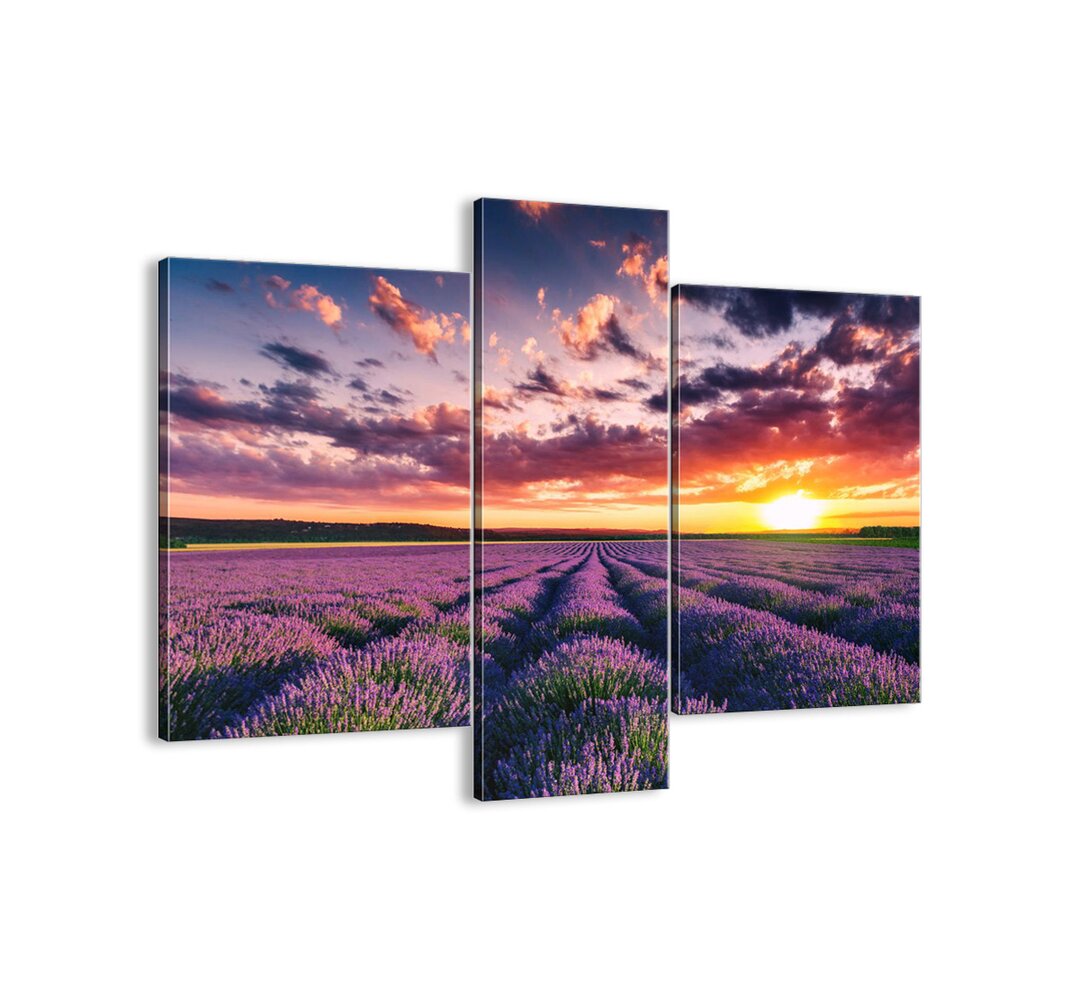 3-tlg. Leinwandbilder-Set - Fotografie „Lavender World”