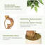Plant-1645508730