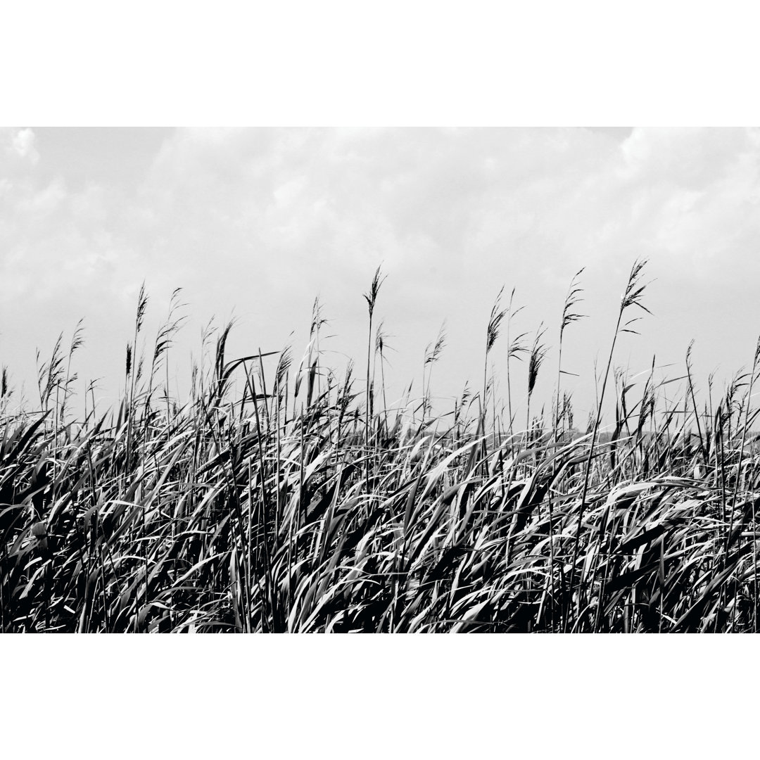 Wandbild Dune Triptych III