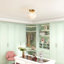 Glass Flush Mount