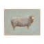Badilla Sheep Strut III by Marilyn Wendling - Painting-862318468-862318472