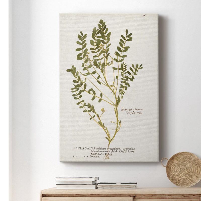 " Nature Printed Ferns X ", 12" W  x 18" H
