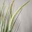 Potted Grass with Feathered Wildflower