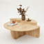 Carolea Coffee Table with Storage