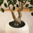 8ft Artificial Ficus Tree with 18in White Planter, Tall Faux Ficus Tree for Indoor, Home Decor