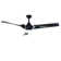 Makoti 52'' Ceiling Fan with LED Lights